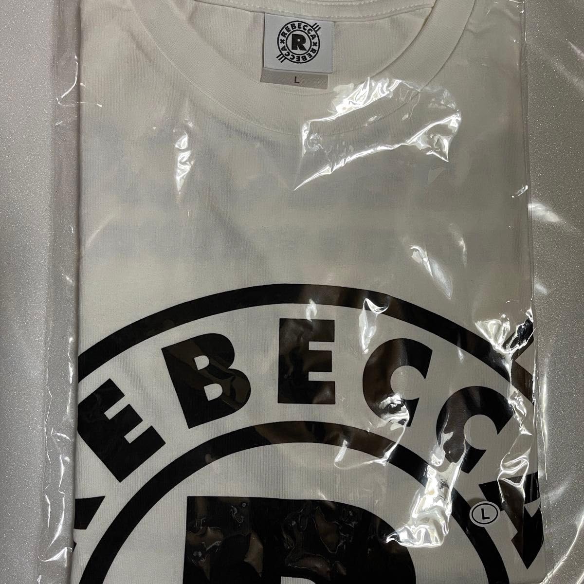 REBECCAレベッカ 2017 ライブグッズ シャツM サンダル等REBECCA LIVE